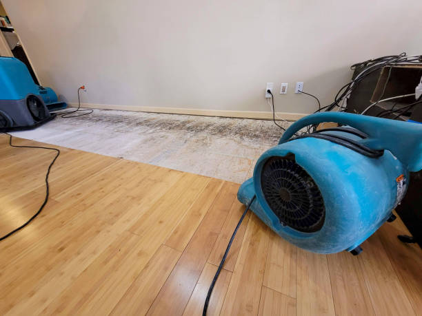 Professional Water Damage Repair technician working in Georgia, GA